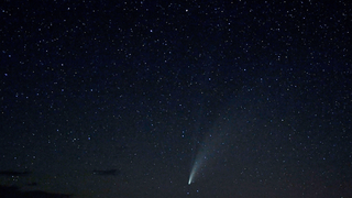 A Definitive Ranking of Zodiac Signs, by Someone Who Totally Knows Stuff About Astrology